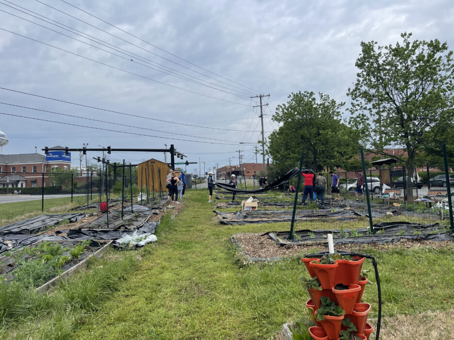 Goler Community Garden feeds Downtown Health Plaza patients